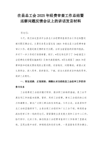 在县总工会2025年经费审查工作总结暨巡察问题反馈会议上的讲话发言材料【整理】