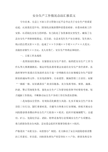 安全生产工作情况总结汇报范文