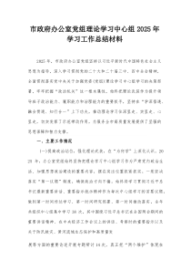市政府办公室党组理论学习中心组2025年学习工作总结材料【整理】