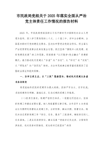 市民政局党组关于2025年落实全面从严治党主体责任工作情况的报告材料【整理】
