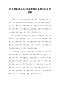 市生态环境局2025年度政治生态分析报告材料【整理】