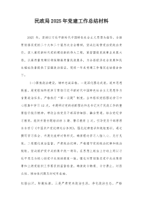 民政局2025年党建工作总结材料【整理】