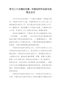 学习二十大理论文章中国化时代化的马克思主义行