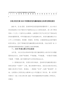 2025年度局党风廉政建设责任制述职评议报告+党支部2025年度落实党风廉政建设主体责任情况报告(材