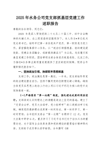 2025年水务公司党支部抓基层党建工作述职报告(材料)