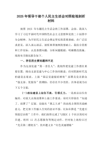 2025年领导干部个人民主生活会对照检视剖析