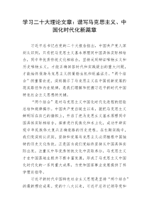 学习二十大理论文章谱写马克思主义中国化时代化新篇章