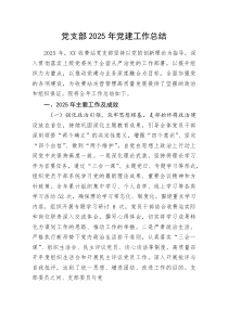 党支部2025年党建工作总结(材料)