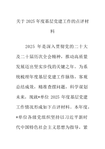 关于2025年度基层党建工作的点评