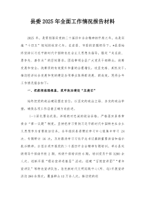 县委2025年全面工作情况报告
