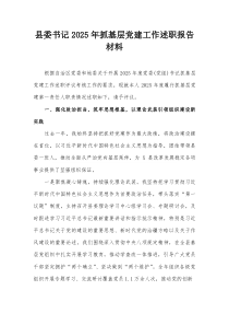 县委书记2025年抓基层党建工作述职报告