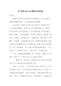 学习贯彻20XX年主题教育专题党课