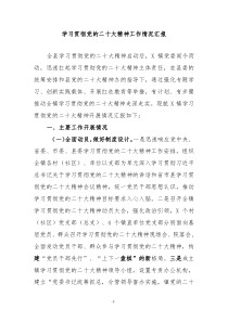 学习贯彻党的二十大精神工作情况汇报4