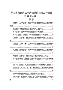 学习贯彻党的二十大精神阶段性工作总结汇编14篇