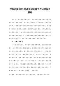 市政法委2025年抓基层党建工作述职报告