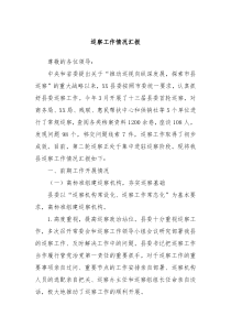 巡察工作情况汇报