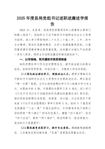 2025年度县局党组书记述职述廉述学报告(材料)