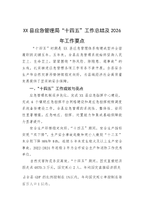 XX县应急管理局“十四五”工作总结及2026年工作要点(材料)
