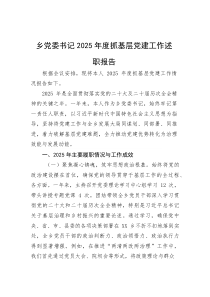 乡党委书记2025年度抓基层党建工作述职报告(材料)