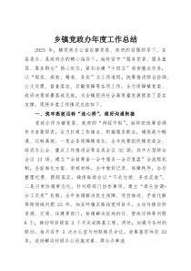 乡镇党政办年度工作总结(材料)