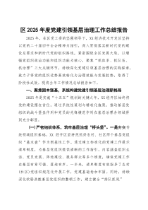 区2025年度党建引领基层治理工作总结报告(材料)