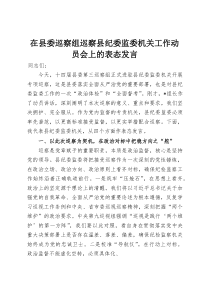 在县委巡察组巡察县纪委监委机关工作动员会上的表态发言(材料)