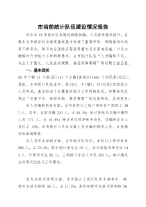 市当前统计队伍建设情况报告(材料)