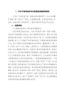 2025年度党组织书记抓基层党建述职报告范文