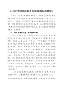 2025年度区财政局党总支书记抓基层党建工作述职报告（优秀）