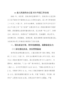 县人民政府办公室 2025 年度工作总结