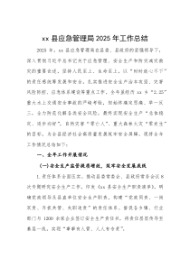 县应急管理局 2025 年工作总结