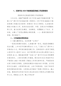 支部书记2025年度抓基层党建工作述职报告（优秀）