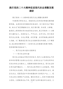 践行党的二十大精神促进现代农业调整发展调研