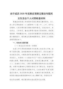 班子成员2025年巡察反馈意见整改专题民主生活会个人对照检查材料