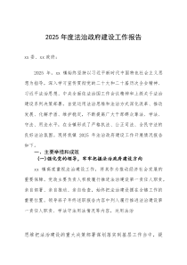 镇2025年度法治政府建设工作报告