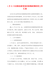 1月31日炎陵县新型冠状病毒疫情防控工作汇报