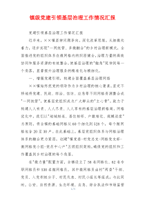 镇级党建引领基层治理工作情况汇报