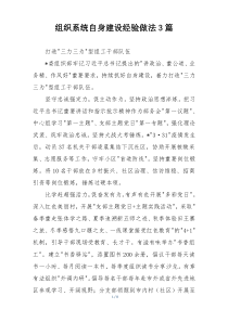 组织系统自身建设经验做法3篇