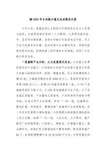 镇20XX年乡村振兴重点完成情况汇报