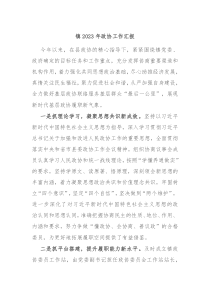 镇20XX年政协工作汇报