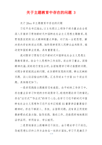 关于主题教育中存在的问题 3
