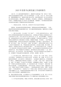 (新编)2025年党委书记抓党建工作述职报告