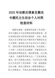 (新编)2025年巡察反馈意见整改专题民主生活会个人对照检查材料