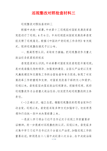 巡视整改对照检查材料三