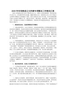 (新编)2025年市局推进公文抄袭专项整治工作情况汇报