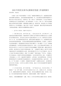 (新编)2025年度党支部书记抓基层党建工作述职报告