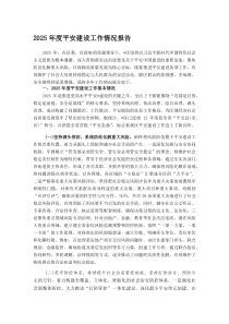 (新编)2025年度平安建设工作情况报告