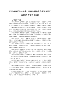 (新编)2025年度民主生活会