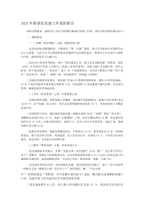 (新编)2025年抓基层党建工作述职报告