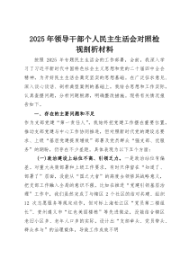 (新编)2025年领导干部个人民主生活会对照检视剖析材料